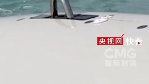 2026深度解析：追梦访谈全纪录，播客真实力